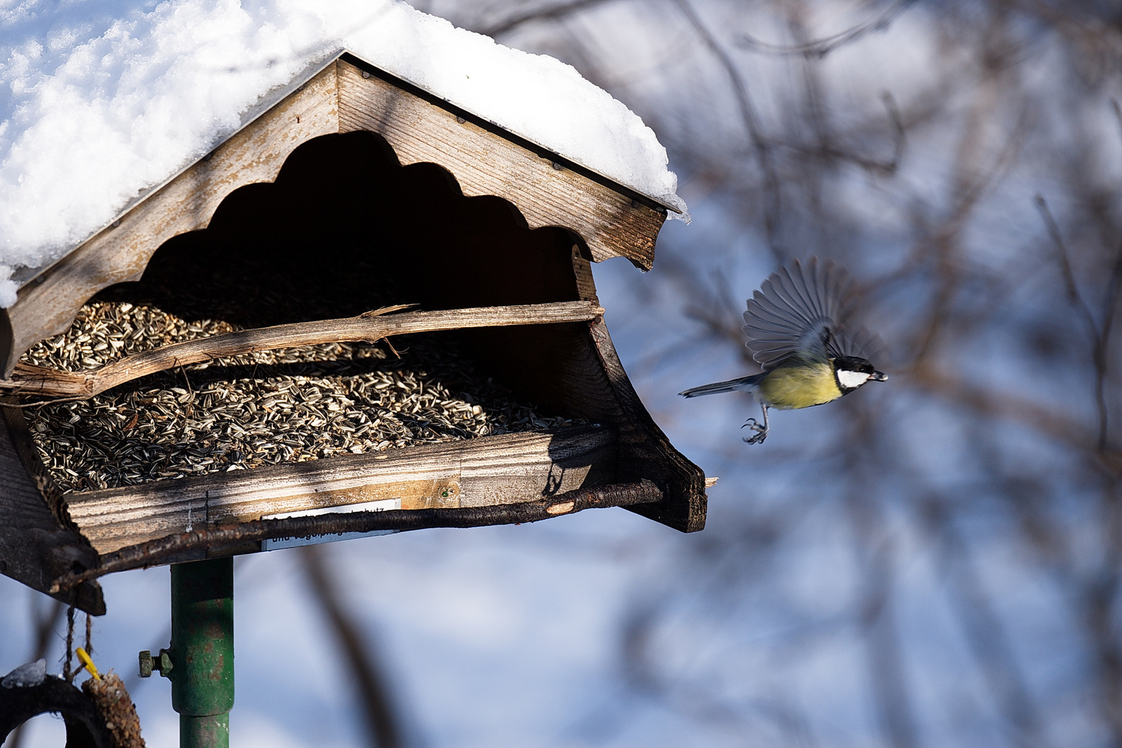 fly away lunch