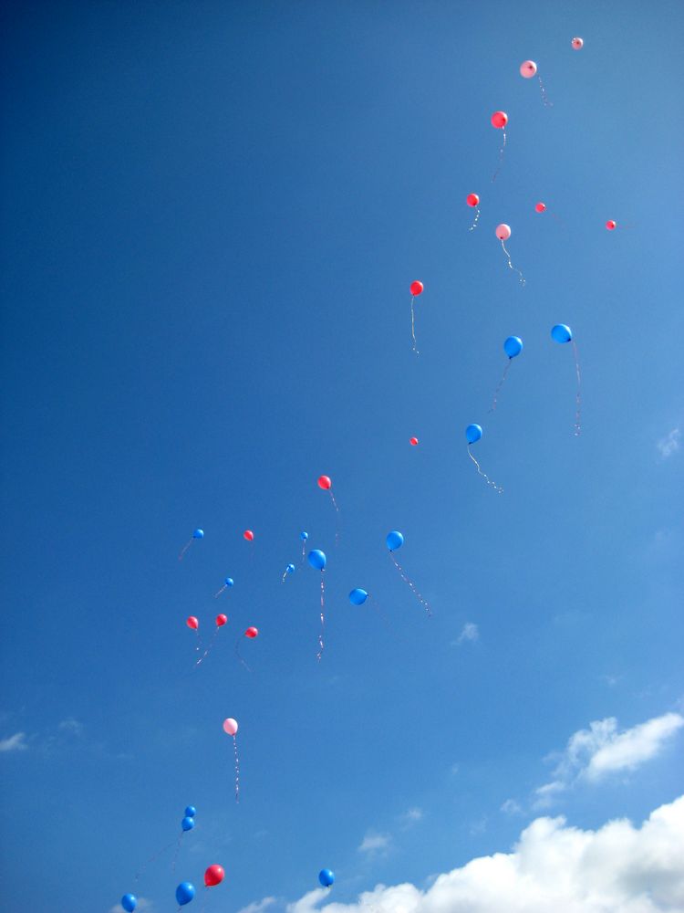 "fly away" oder "41 Luftballons, auf ihrem Weg zum Horizont..."