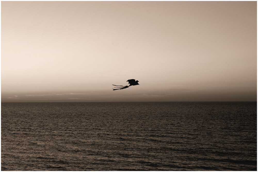 Fly away...II