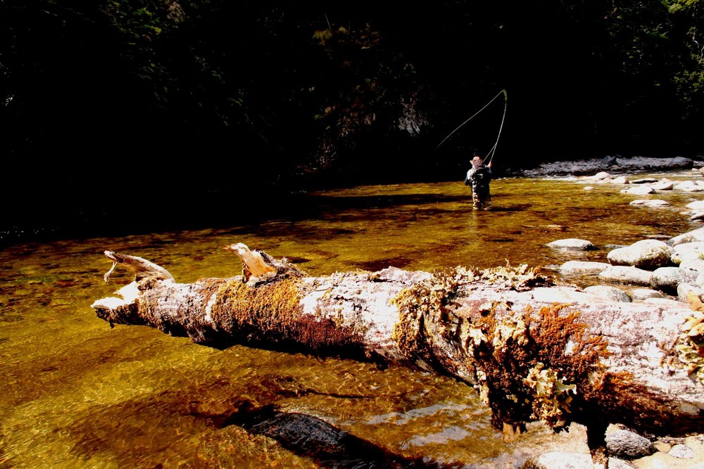 Fly-fishing in new-zealand