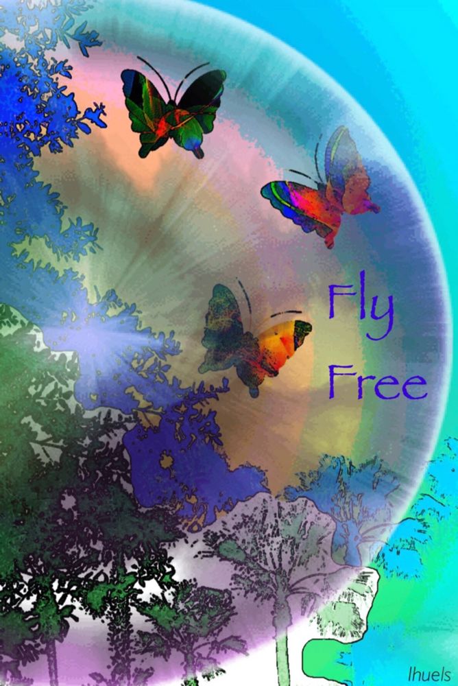 Fly Free