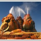 Fly geyser