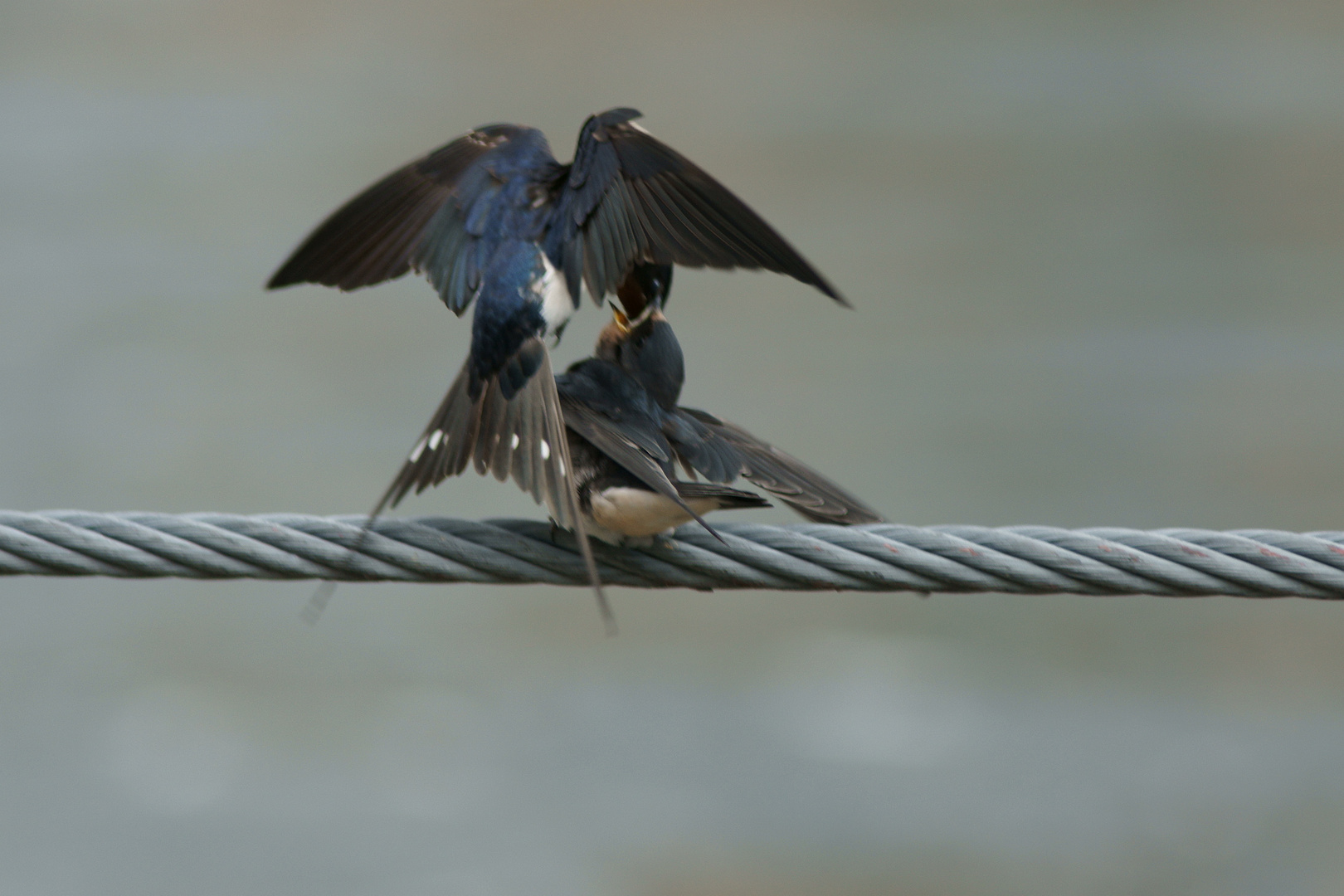 Fly In oder Luftbetankung