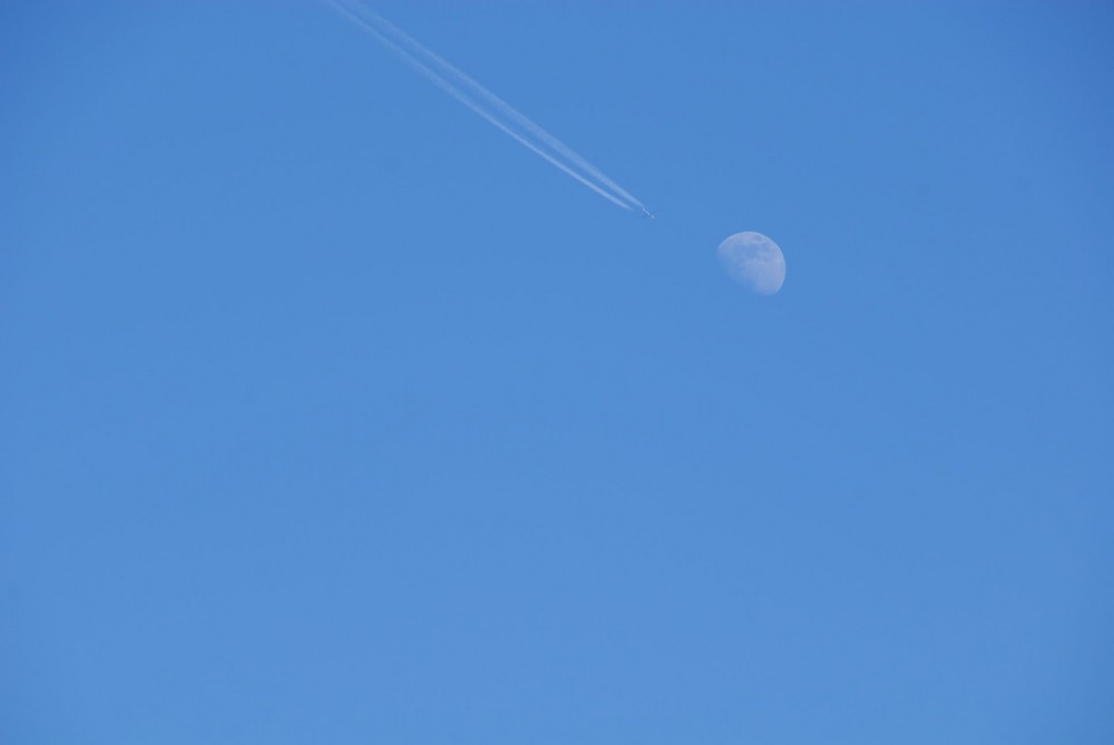 Fly me 2 the moon