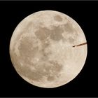 fly me to the moon