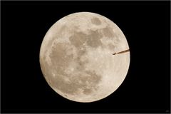 fly me to the moon