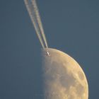 Fly me to the Moon (2)