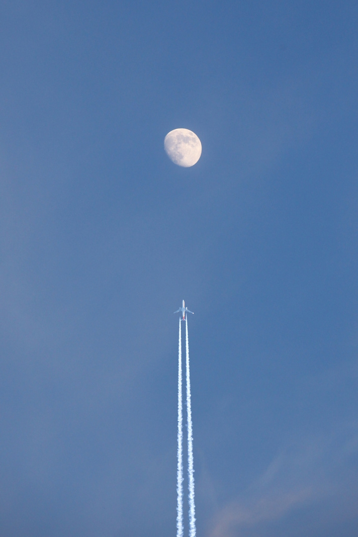 Fly me to the Moon!