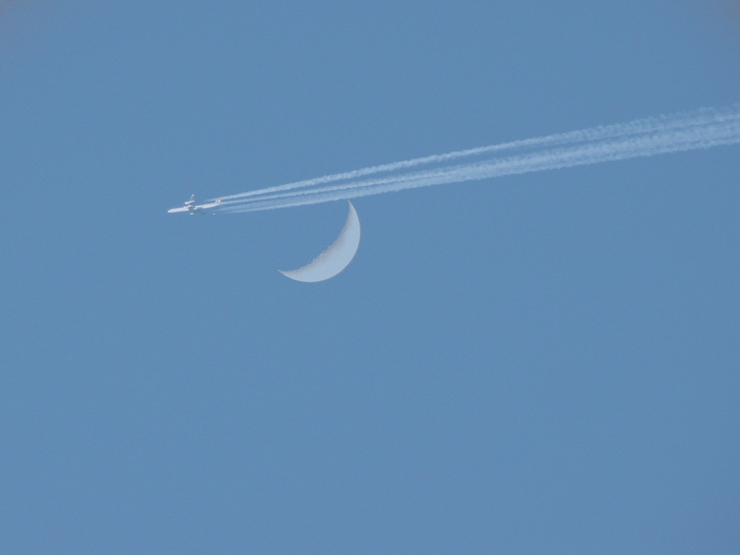 Fly me to the Moon