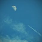 fly me to the moon