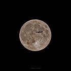 Fly me to the moon