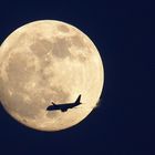 fly me to the moon