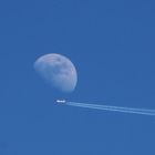 Fly me to the moon