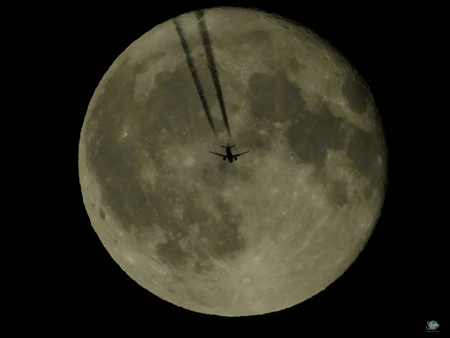 Fly me to the Moon and Back