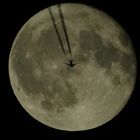 Fly me to the Moon and Back