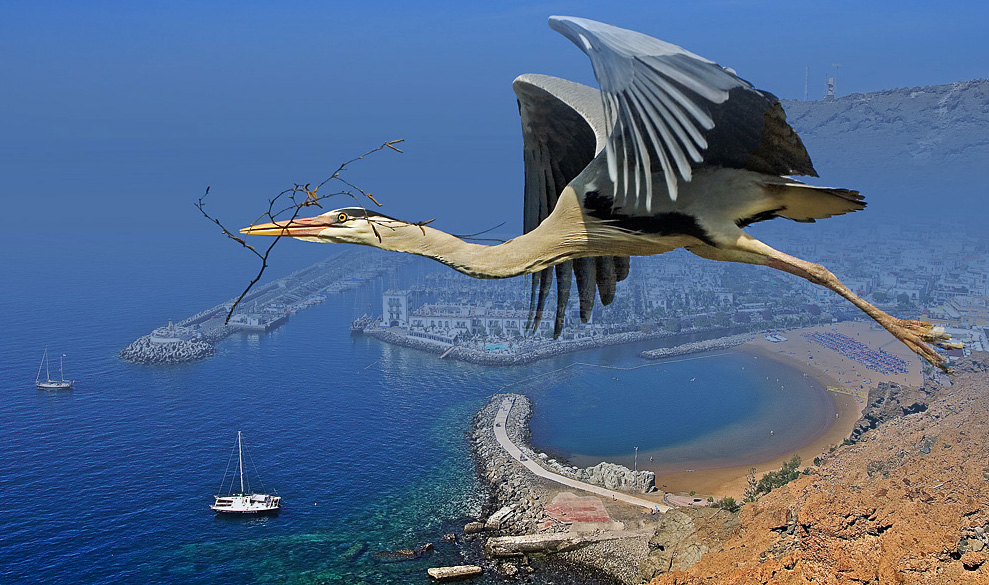 Fly over the Puerto de Mogan...