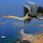 Fly over the Puerto de Mogan...