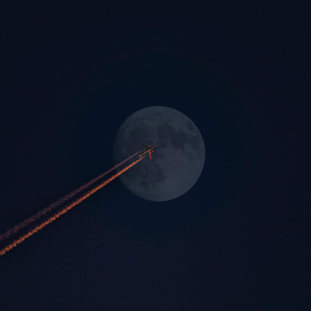 Fly to the Moon