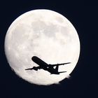 fly to the moon