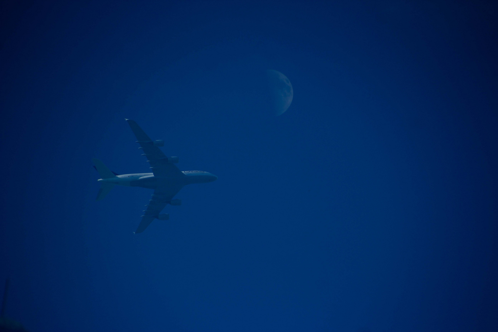 Fly to the moon