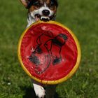 Fly und die Frisbee