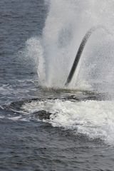 Flyboard -5-