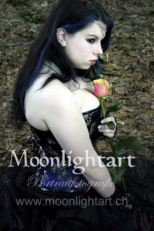 flyer moonlightart