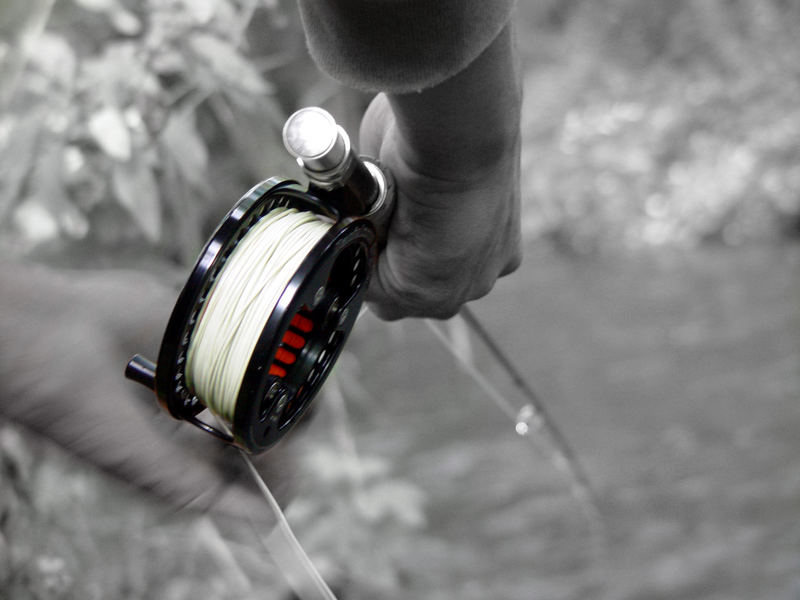 Flyfishing