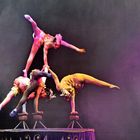 Flying Acrobats show 1