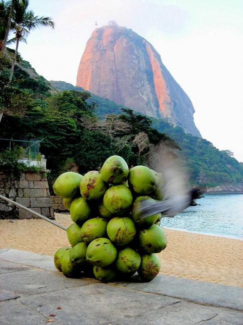 Flying around the Coconuts Loaf.