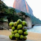 Flying around the Coconuts Loaf.