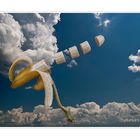 FLYING  BANANA