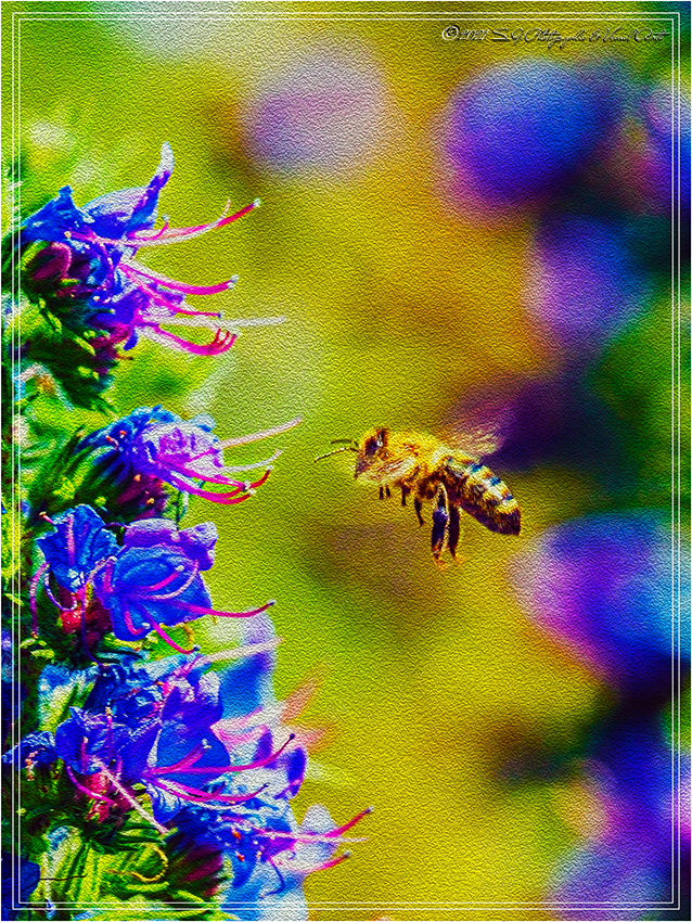 Flying Bee (stilisiert)