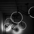 Flying Bicycles 