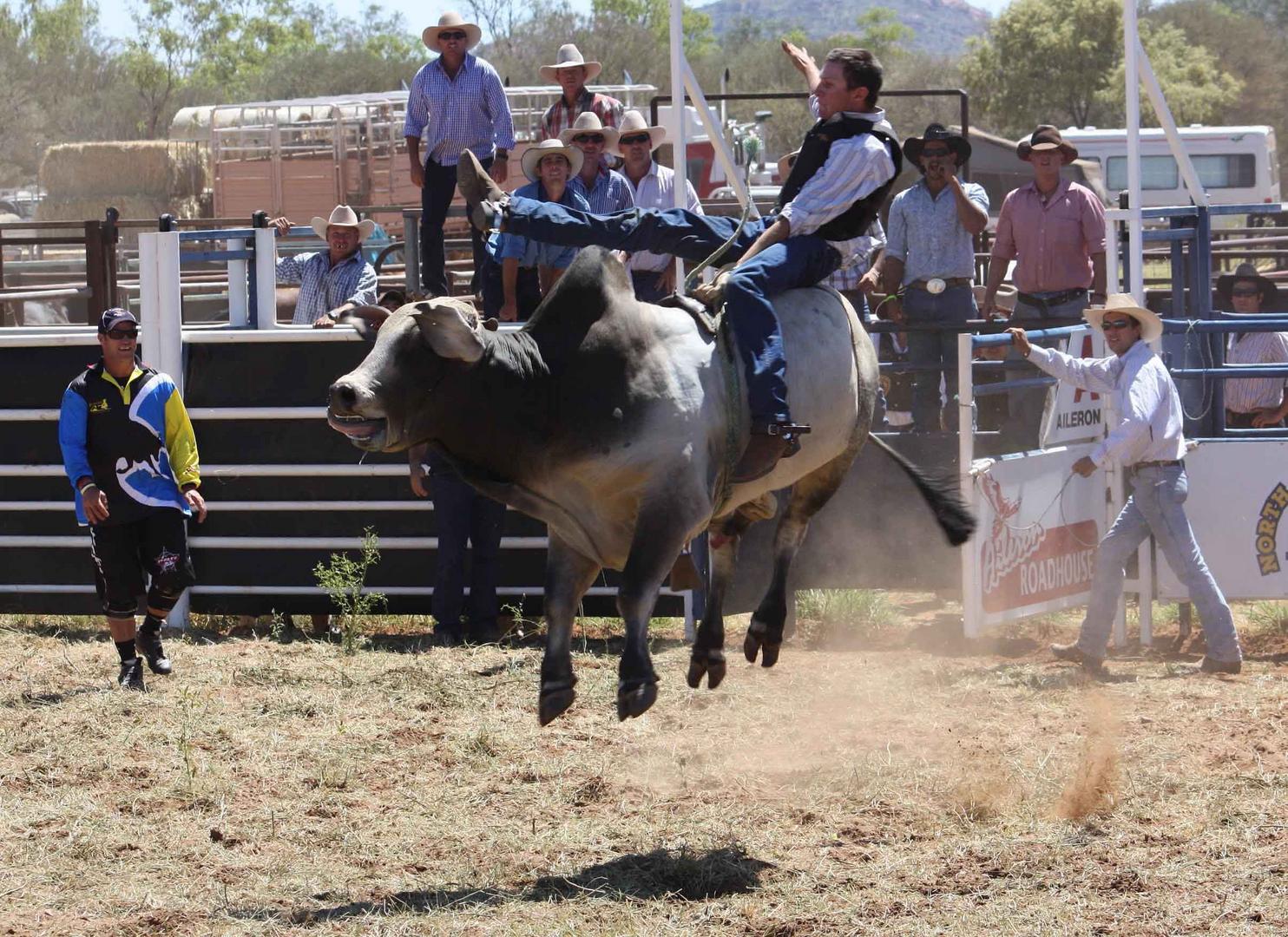 Flying Bull