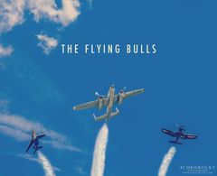 flying bulls