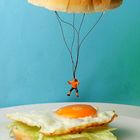 Flying Burger