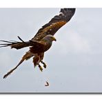 Flying carpaccio