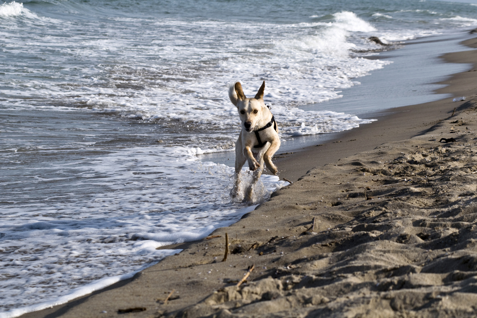 Catania Beach, Playa Catania Picture Of A Casa Di Laura Sicily Tripadvisor, Catania has been a prize of many empires over the centuries, from greeks to romans to arabs to normans to spaniards (to name a few).