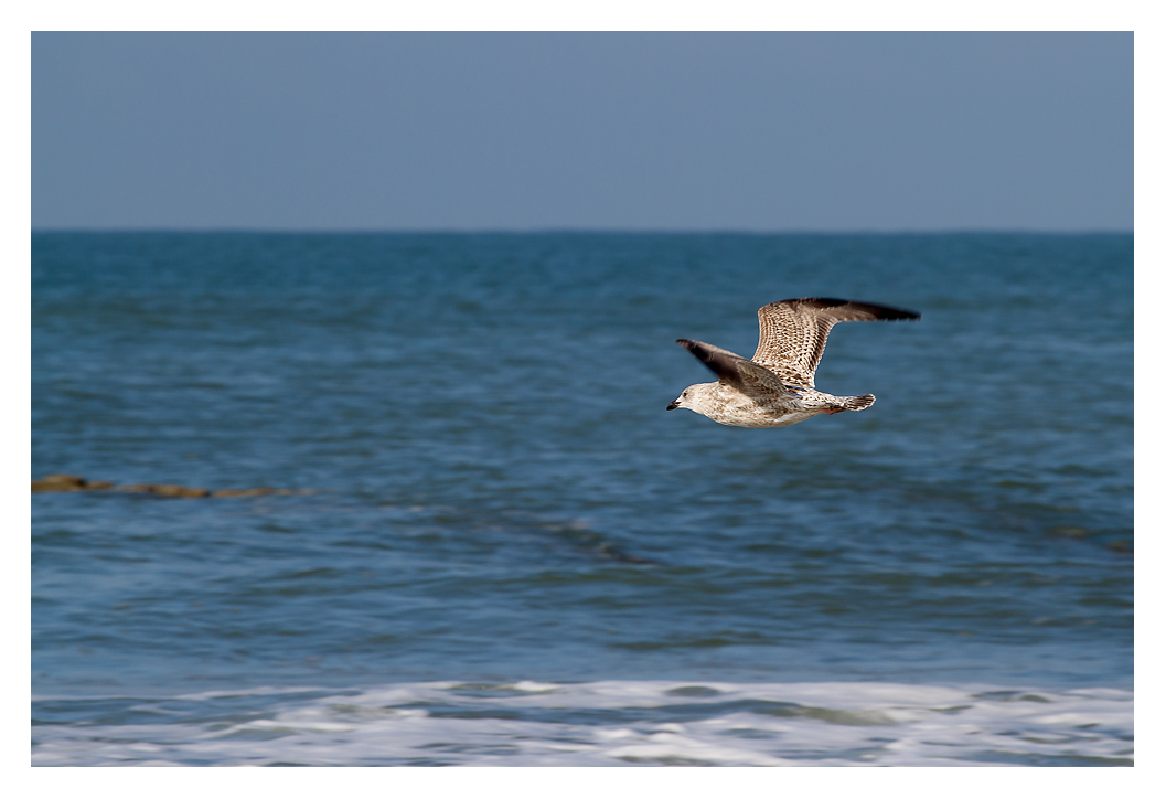 Flying cross the sea