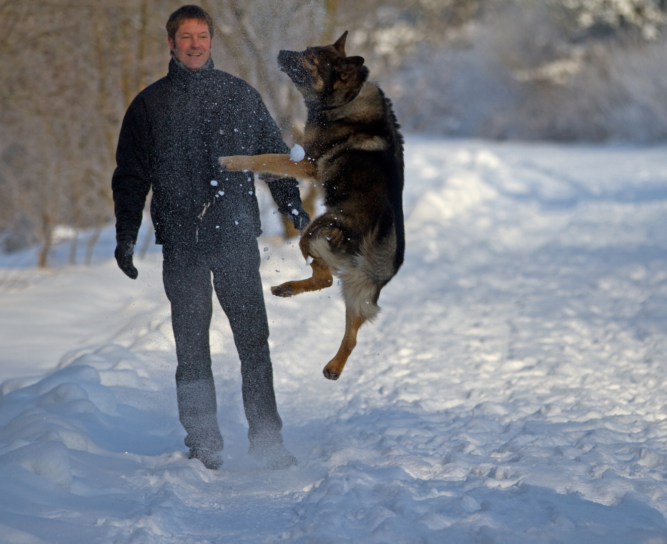 FLYING DOG