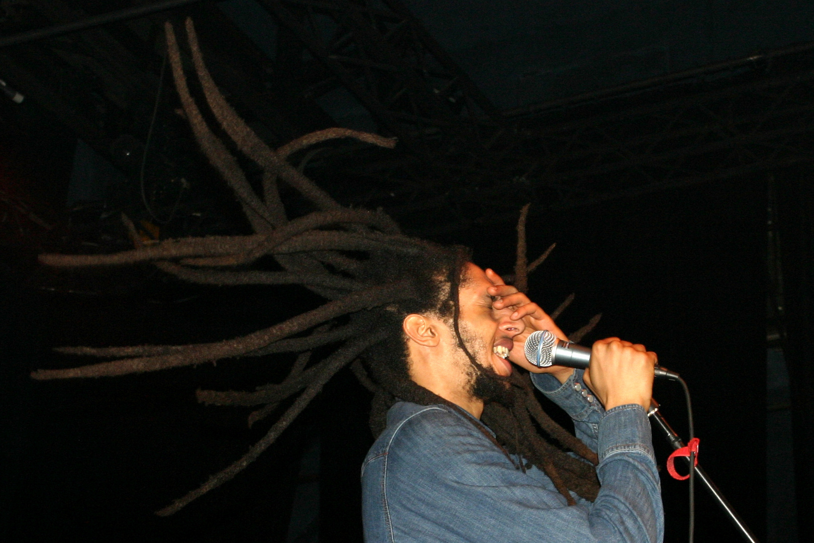 Flying Dreads - Julian Marley