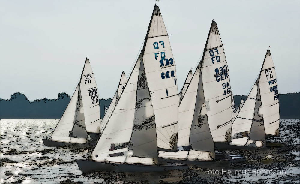 FLYING DUTCHMAN. REGATTA.