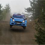 Flying Elfyn