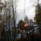 Flying Fox