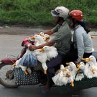 Flying geese transport