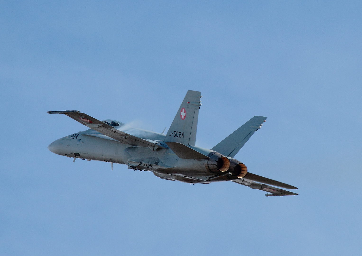 Flying Hornet auf der Axalp 2010