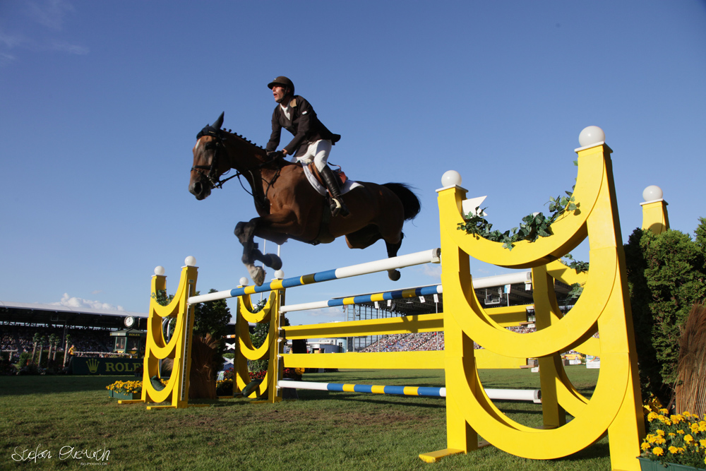 flying horse * CHIO 2010 Impressionen