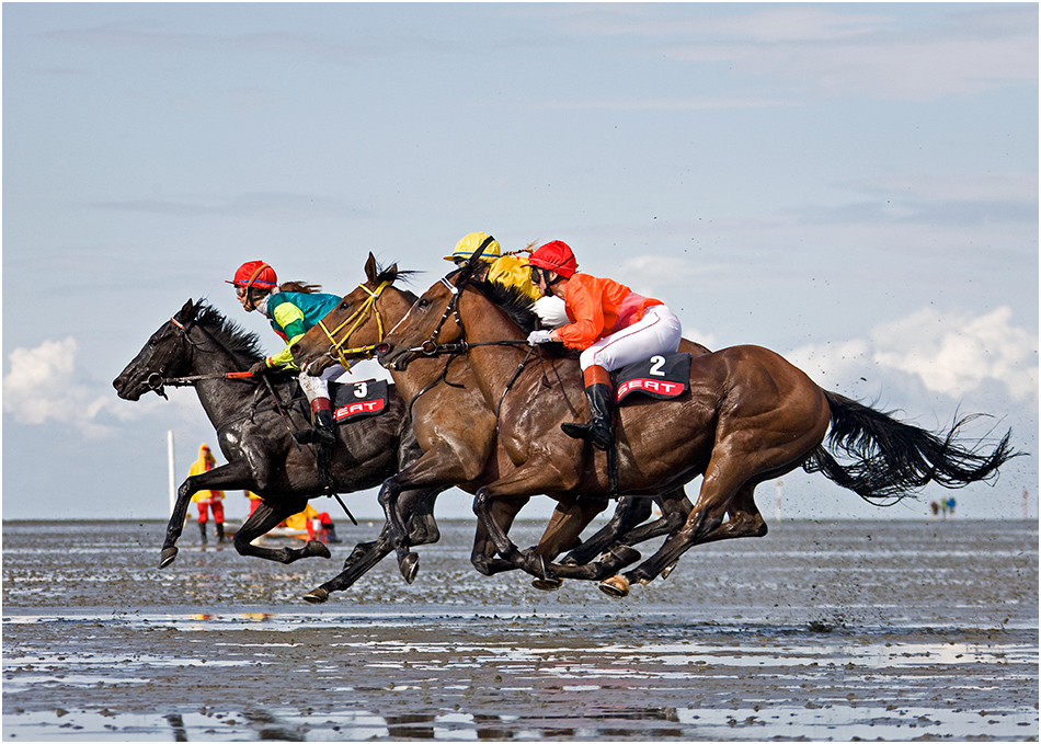 Flying Horses Foto & Bild sport, sport mit tieren, pferdesport Bilder auf