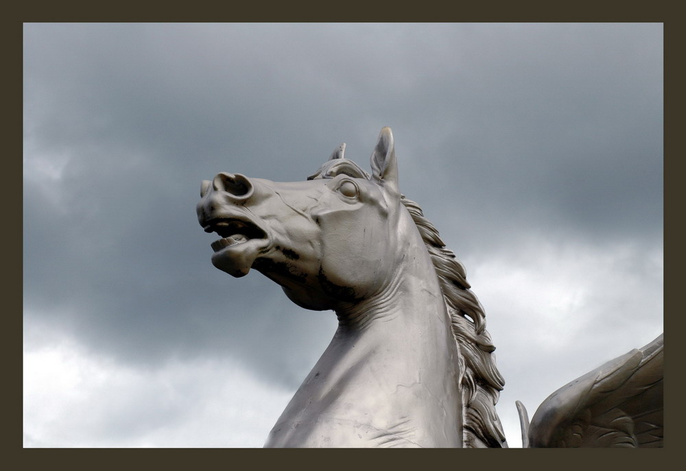 flying horses in Ireland....